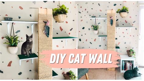 Creative Cat Shelves for Renter